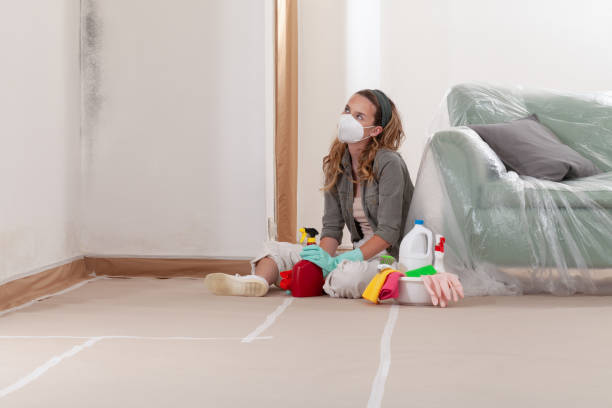 Reliable Mold Inspection contractor in Clementon, NJ by WQB Mold Removal